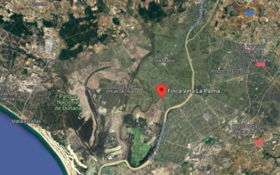 La Junta comprará la finca ‘Veta La Palma’ de 7.500 hectáreas, la mitad inundadas, para blindar Doñana